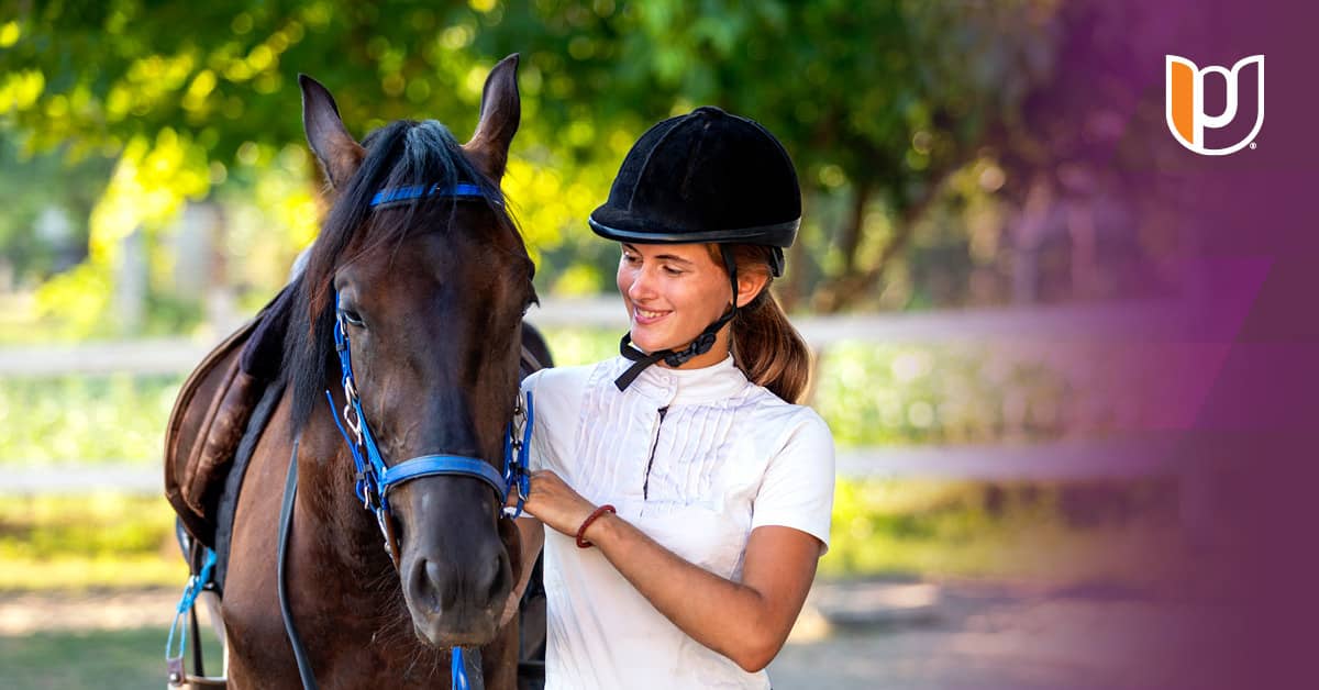 How to Start an Equine Business