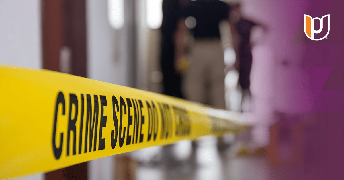 Is CSI Real? Debunking Eight Common Myths About Crime Scene Investigation